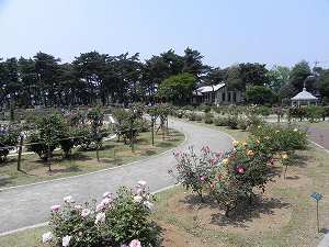 20110519 maebashi (1).jpg